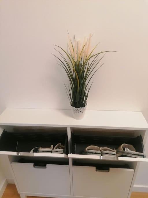 Apartment Green Lux Belgrad Exterior foto